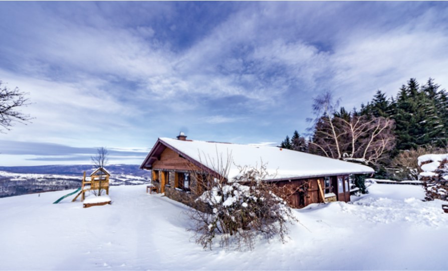 You are currently viewing Achtung! Haflinger Alm und Blockhaus wieder frei geworden!